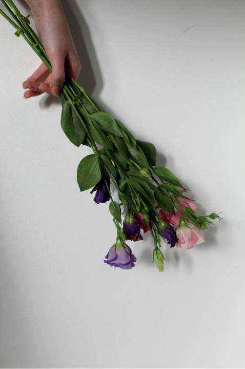 Galleria 2